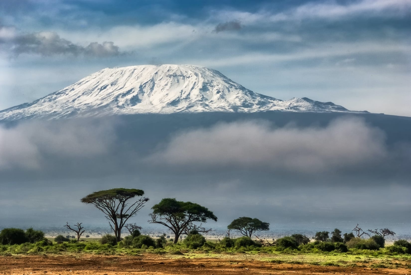 kilimanjaro & safari